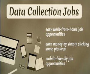 top websites for data collection jobs