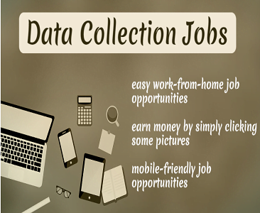 top websites for data collection jobs